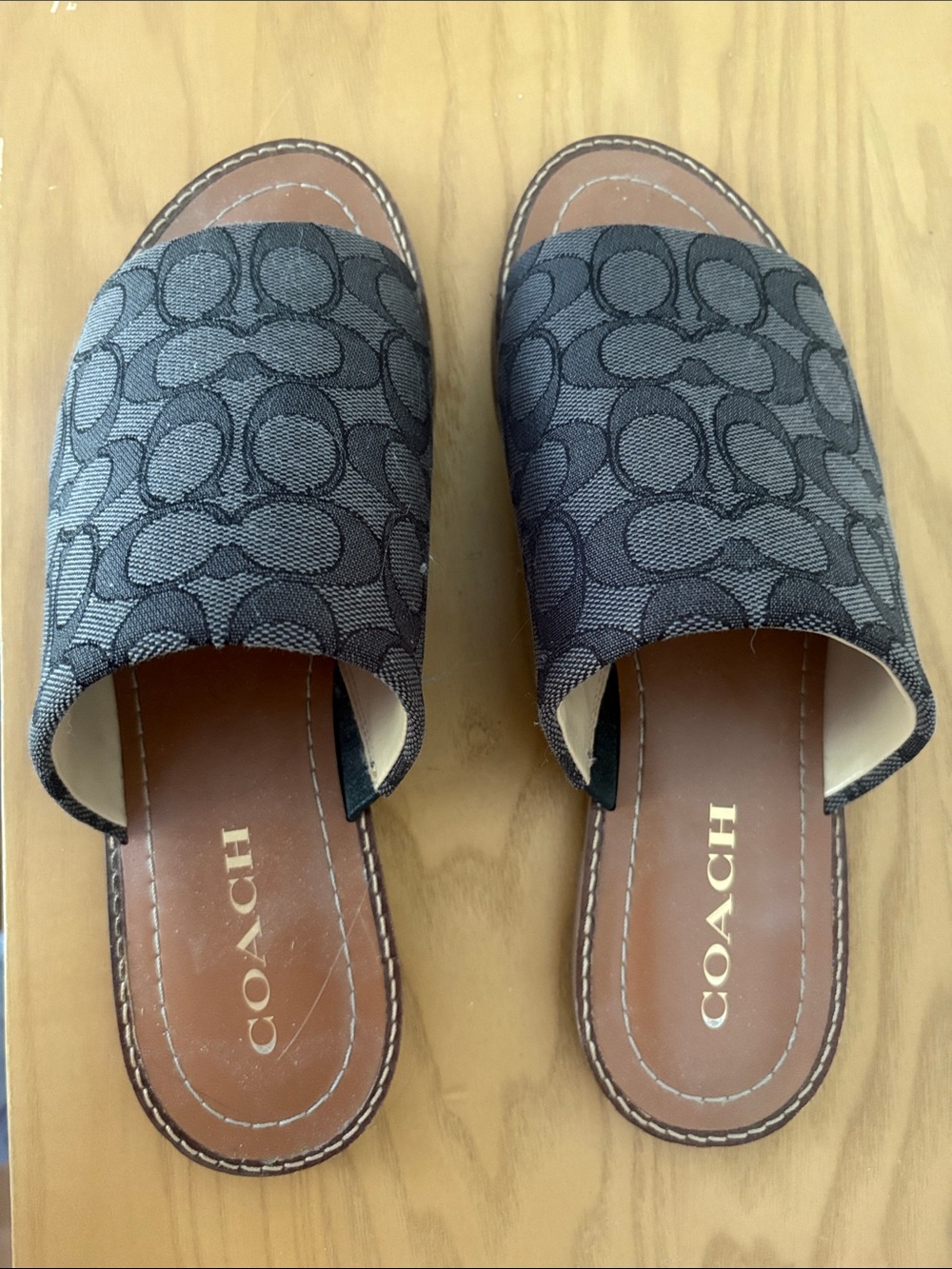 Coach slides mules